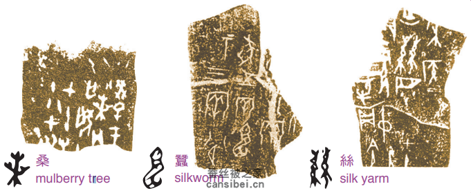 甲骨文中的桑、蚕、丝。