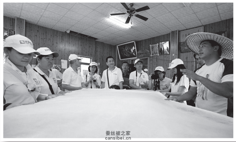 平面茧制作的蚕丝被