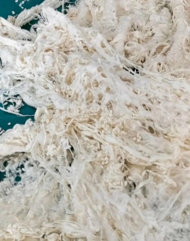 网友用了近10年散掉的蚕丝被纤维