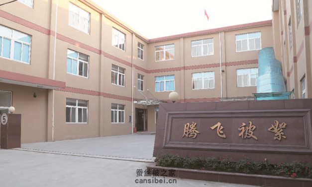 桐乡市腾飞家纺股份有限公司